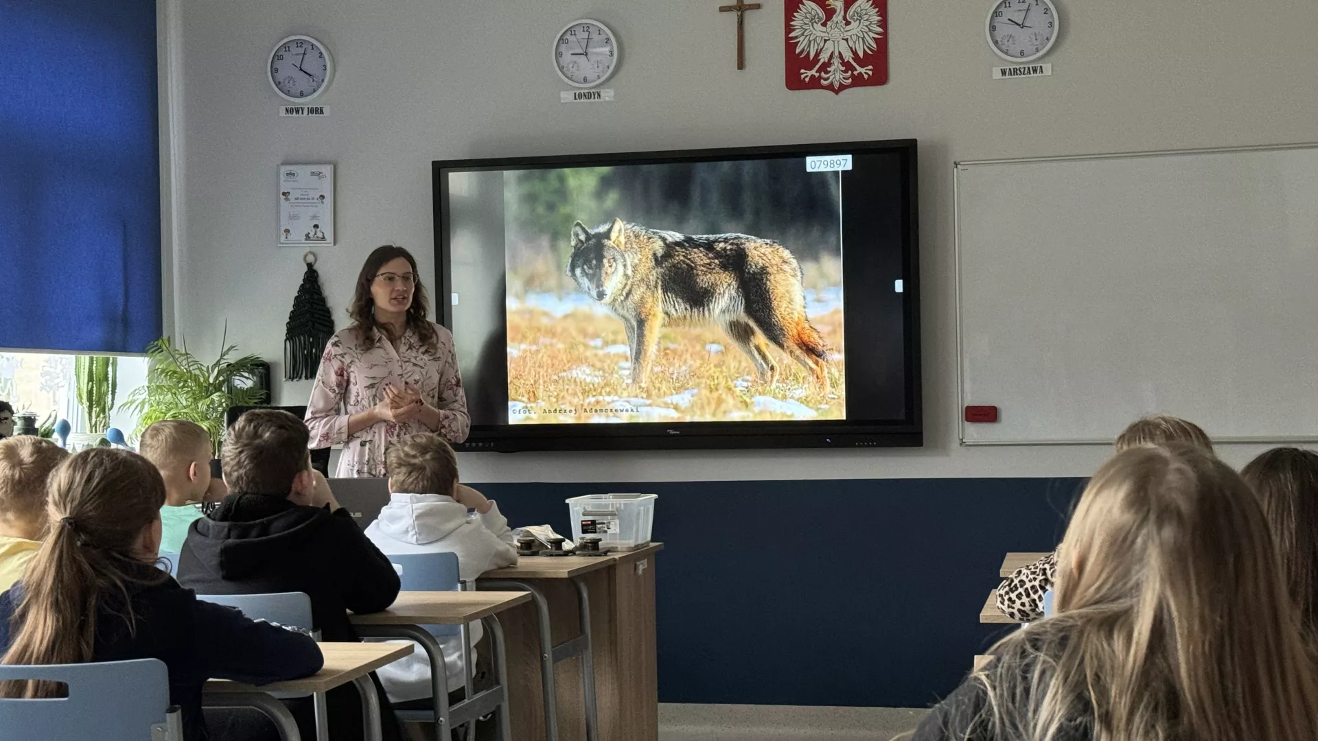 Warsztaty przyrodnicze - prezentacja o wilkach