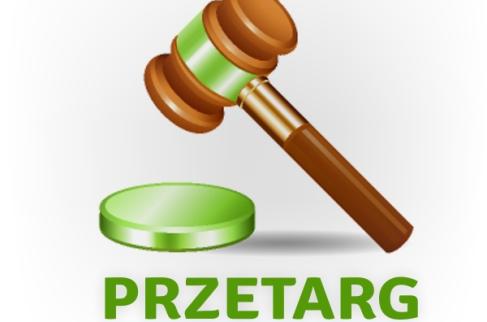 Drewniany młotek uderza w zieloną podstawkę z napisem PRZETARG.