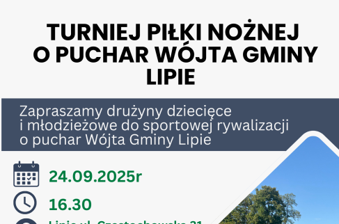 TURNIEJ PIŁKI NOŻNEJ DLA DZIECI I MŁODZIEŻY O PUCHAR WÓJTA GMINY LIPIE
