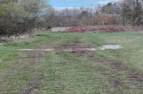 Porzucone odpady zawierające azbest w Rębielicach Szlacheckich